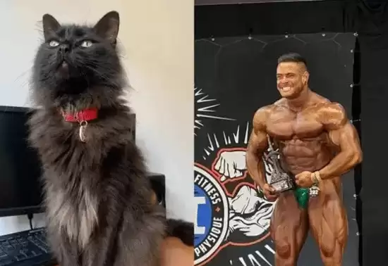 31岁健美冠军突然中风身亡 竟因爱猫去世太伤心
