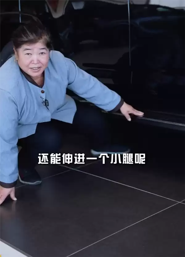 爆火！58岁保洁阿姨拍“土味说车”视频出圈：这黢黑大铧犁你喜欢吗