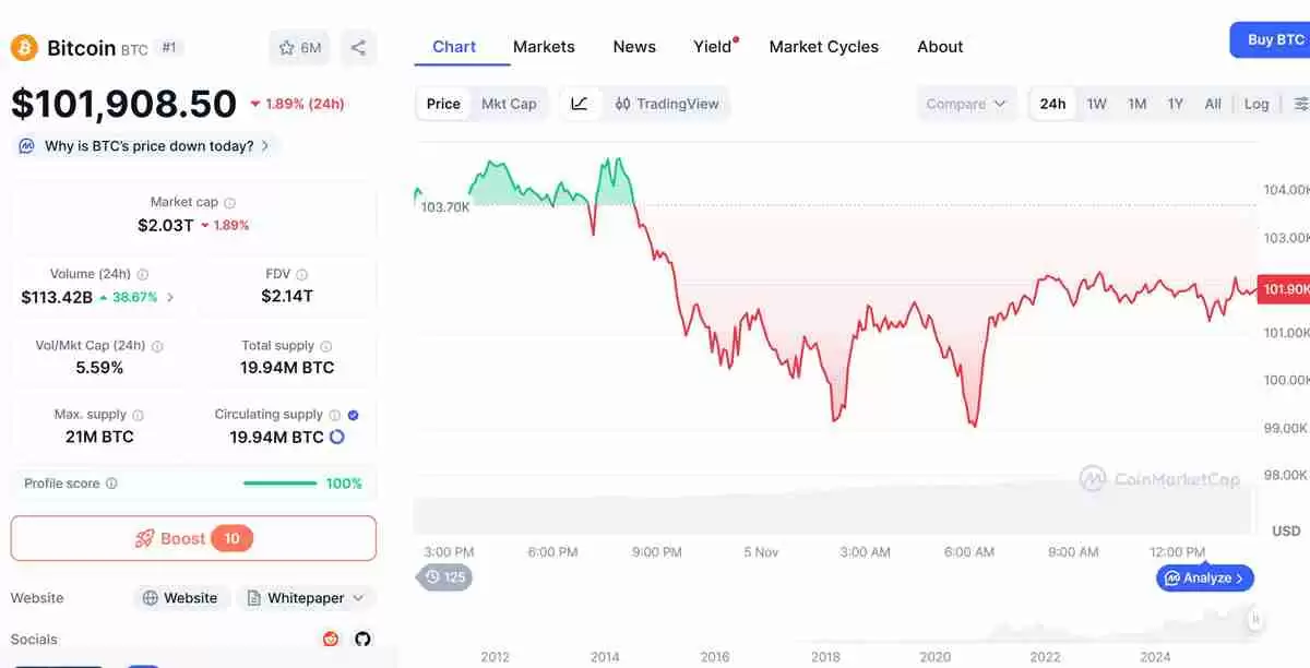 随着比特币（BTC）跌破10万美元，Arthur Hayes与Bitwise首席投资官仍维持看涨立场解读
