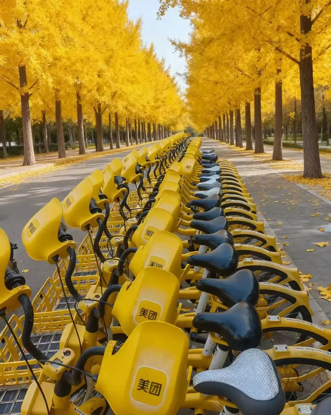 共享单车再卷体验，美团、滴滴青桔、哈啰等用上