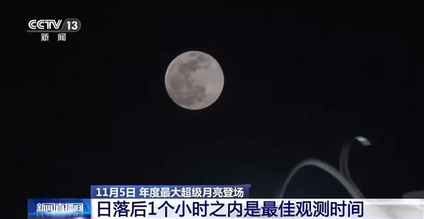 今晚记得抬头看！XXXL号年度最大超级月亮来了
