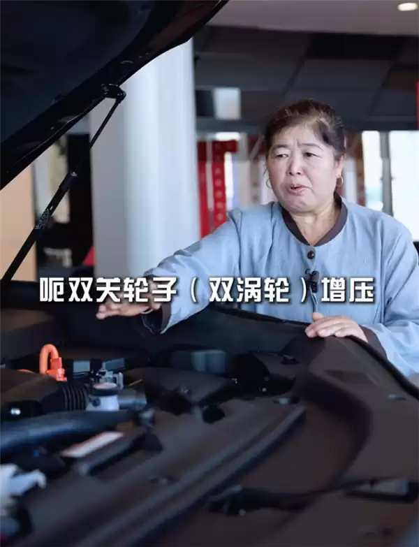 爆火！58岁保洁阿姨拍“土味说车”视频出圈：这黢黑大铧犁你喜欢吗