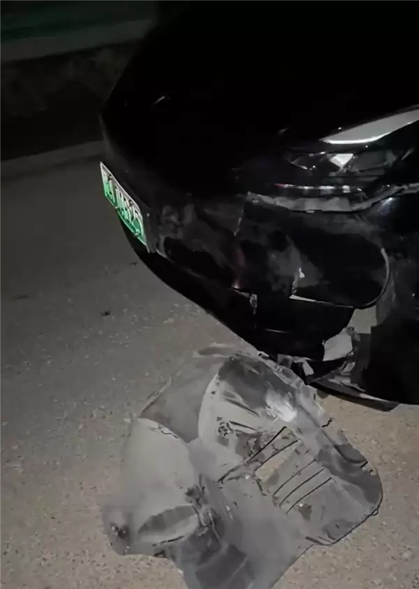 特斯拉国道撞死野猪车主负全责！此前有车主高速上撞野猪获赔偿