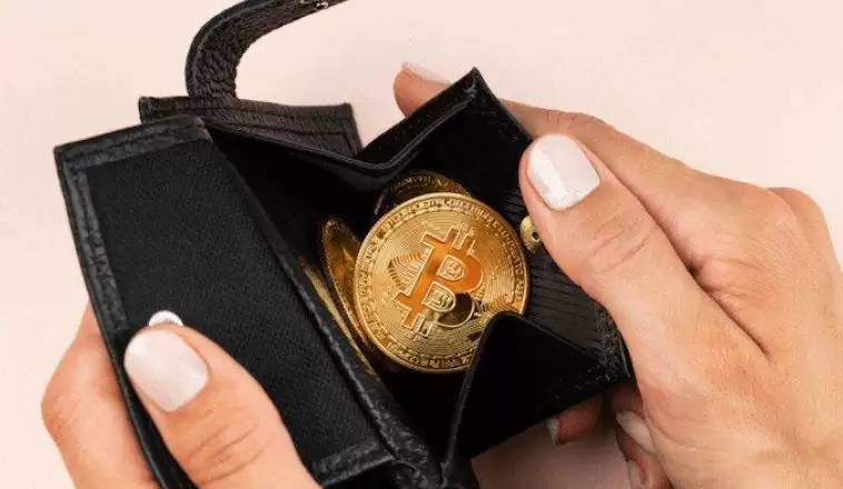 冷存储Ledger购买、设置与使用详细教程(附防骗指南) - 菜鸟下载