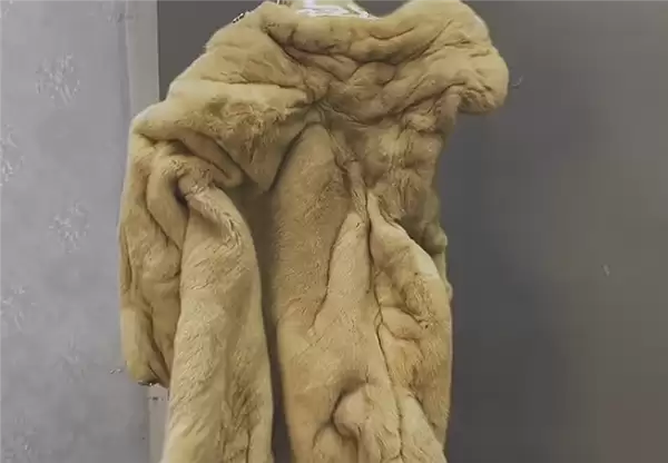 1888元的貂皮大衣被洗废后买家退货退款 商家驱车300公里讨说法