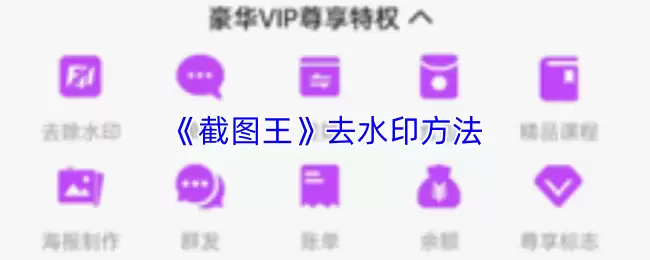 《截图王》去水印方法