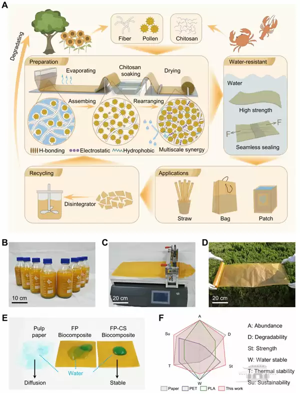 武大新突破 三种天然物质造出“可降解塑料”:防水又强韧