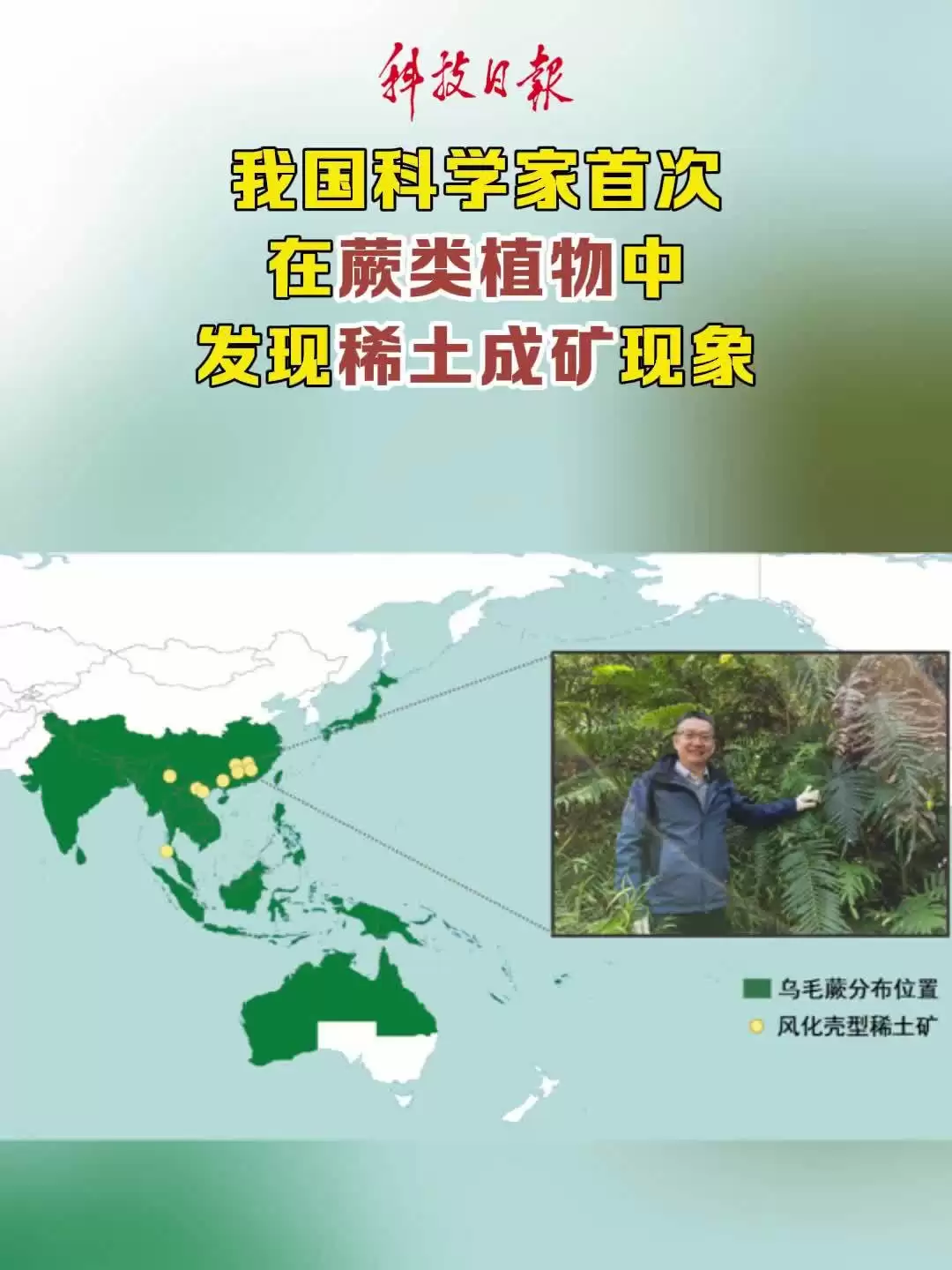 植物也能“造”稀土矿:中国科学院首次在蕨类中发现稀土成矿现象