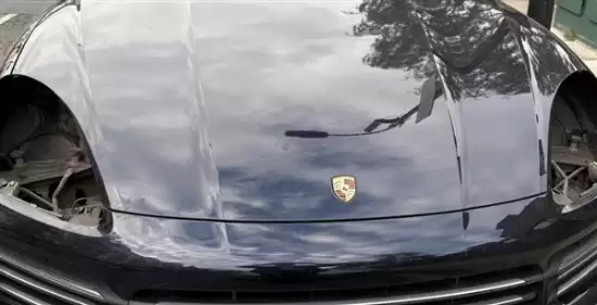 保时捷大灯被盗背后：高端车灯沦为非法种植照明工具