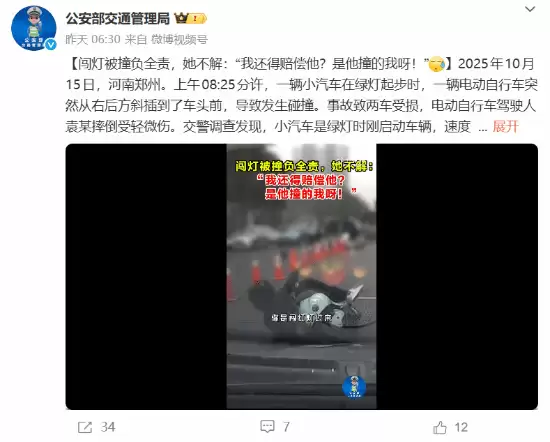 电动自行车闯红灯酿事故 肇事者担全责