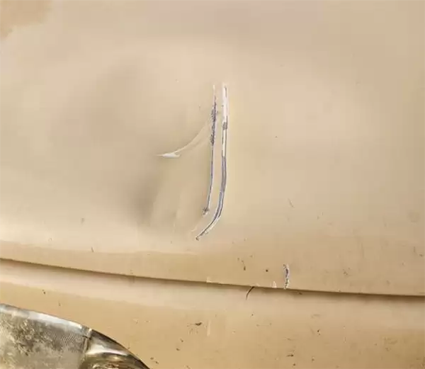 日本北海道一汽车遭熊袭击:引擎盖一巴常被扇凹陷