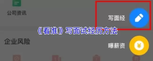 《看准》写面试经历方法