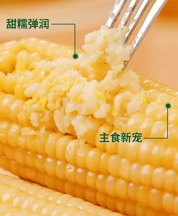 2025年新玉米:刘老杆东北甜糯玉米17元8穗大促