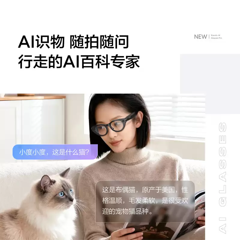 百度旗下小度 AI 眼镜 Pro 开售：支持 AI 翻译、4K 拍照，售价 2299 元