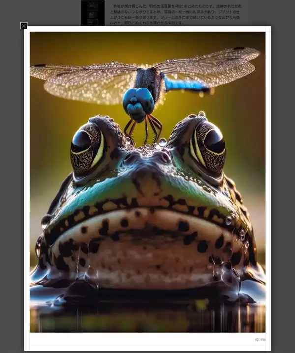 AI生成作品冒充实拍获奖 日本摄影展闹乌龙