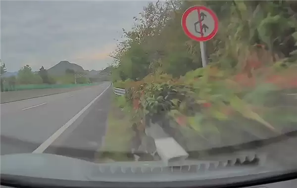 高速上开车直接冲进绿化带致车辆报废+男子：当时在点歌