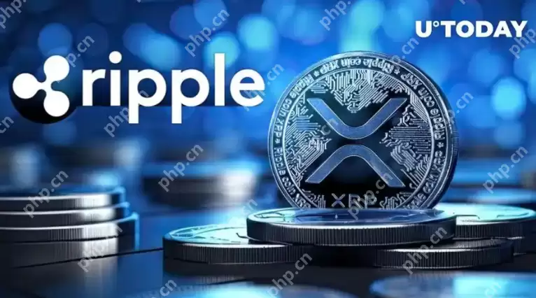Ripple (XRP) 价格分析:SEC诉讼结束后,XRP会一飞冲天吗? - 菜鸟下载