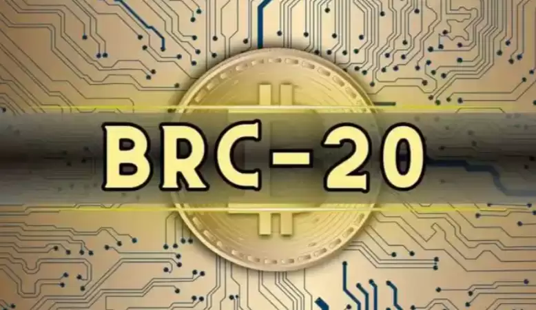 BRC-20标准详解：比特币生态的创新与未来潜力 - 菜鸟下载