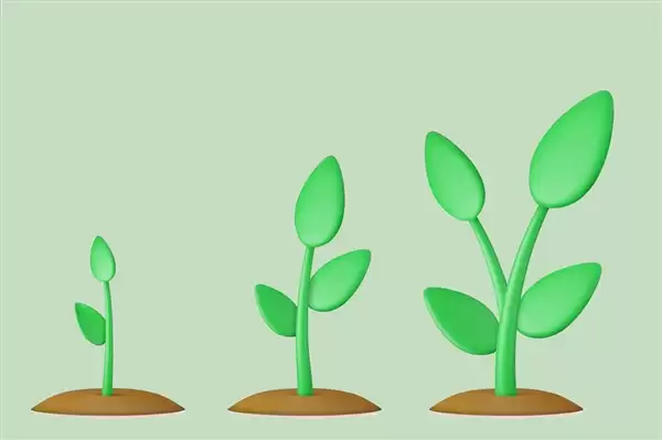 张家界荒野求生选手误食毒草:3秒不到就发作