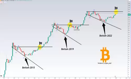比特币价格创下19个月新高 大鲸的精心设计引领市场繁荣-第5张图片-本站