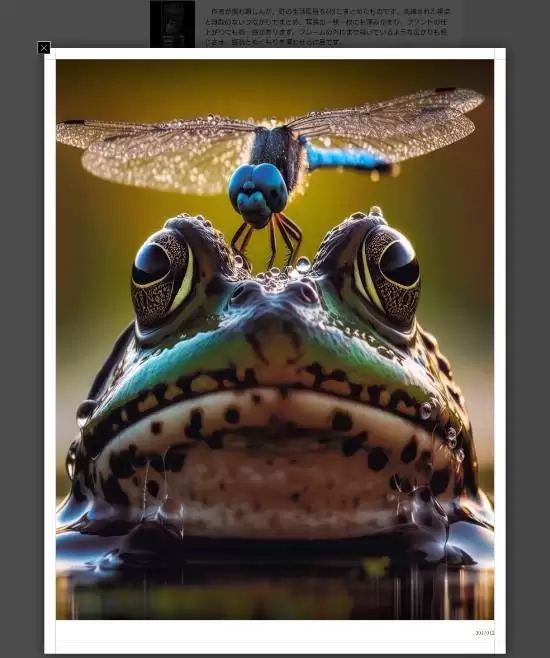 AI生成照片获摄影大奖被撤事件引发热议