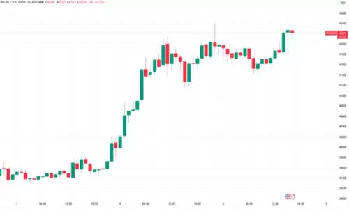 比特币价格创下19个月新高 大鲸的精心设计引领市场繁荣-第2张图片-本站