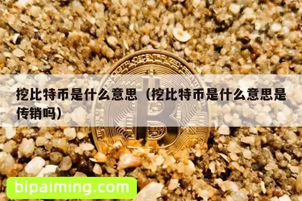 挖比特币是什么意思（挖比特币是什么意思是传销吗）