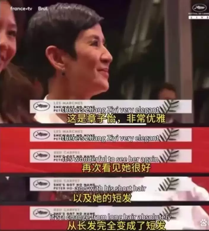 戛纳电影节乌龙:外媒误将吴君如认作章子怡