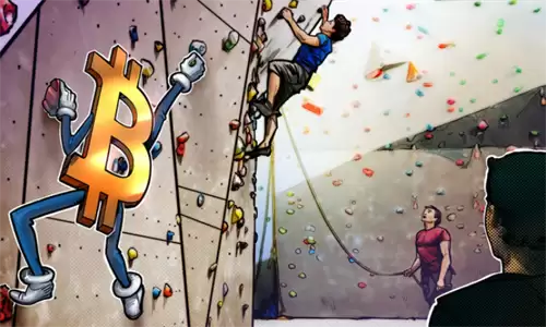 比特币价格创下19个月新高 大鲸的精心设计引领市场繁荣-第1张图片-本站