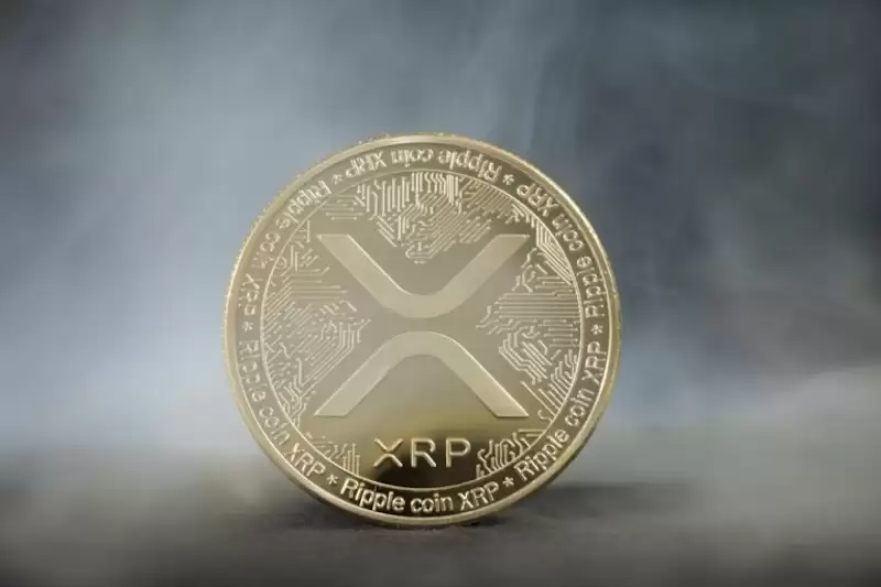 首只美国现货XRP ETF上市,开盘交易量达5800万美元,创年度最佳纪录 - 菜鸟下载