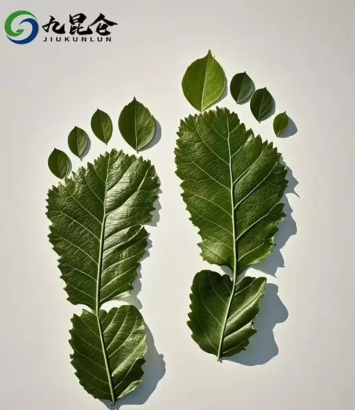 九坤昆仑低碳科技:以科技构建全球碳中和新生生态