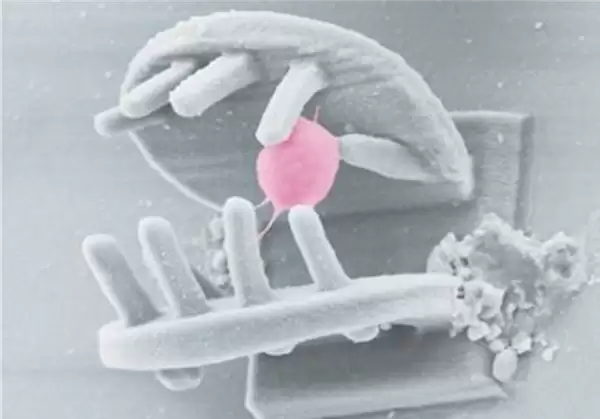 中国科学院研发40微米仿生3D微纳机器人