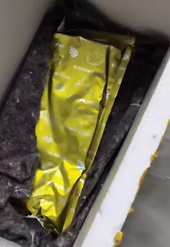 买50条观赏鱼收到1袋水 商家:烫熟分解了