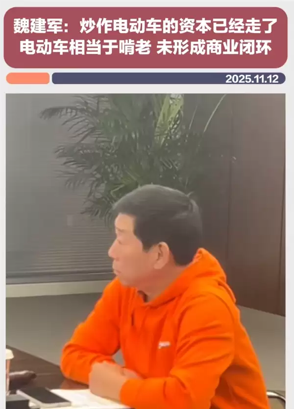 魏建军谈新能源困局：行业未盈利恐陷啃老危机