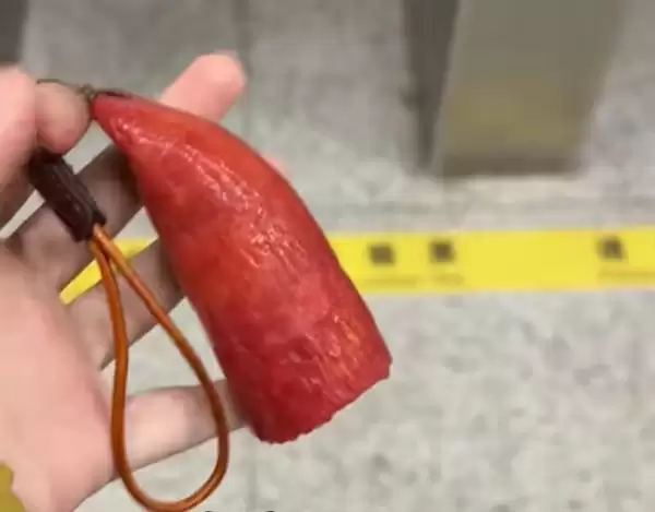 哈尔滨推出“红肠公交卡” 造型逼真