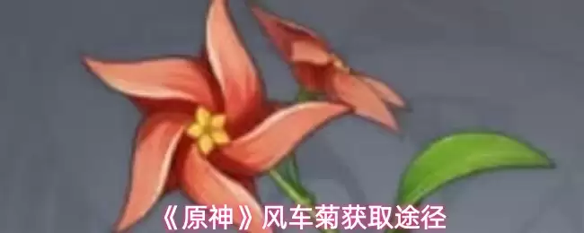 《原神》风车菊获取途径