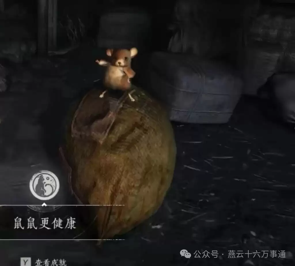 燕云十六声鼠鼠更健康成就攻略