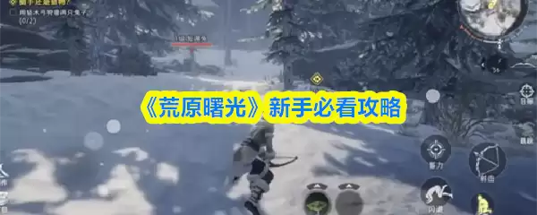 《荒野曙光》新手必看攻略