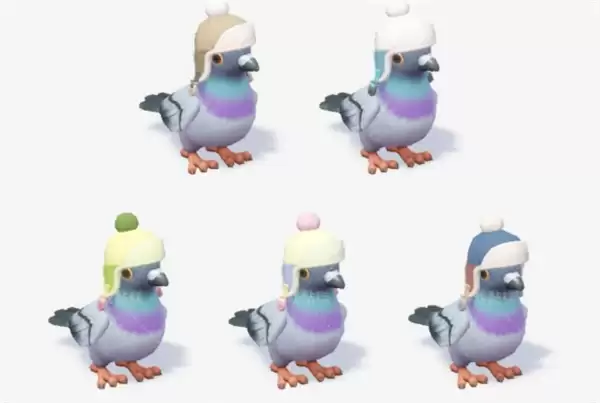 心动小镇沸雪浴场5个鸟类攻略