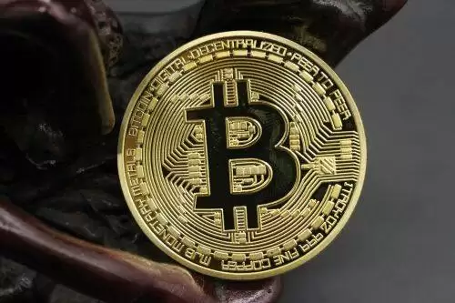 ADT(adToken)是什么币种-第1张图片-本站