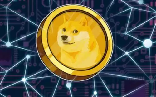 doge币是什么-第1张图片-币安下载