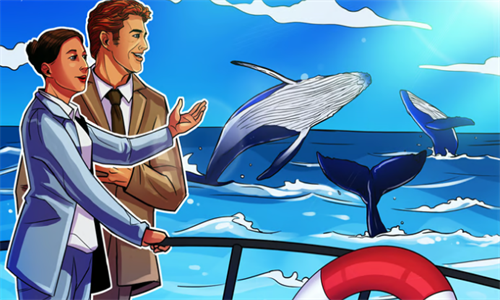 50亿美金比特币大户抛售 TF后比特币崩盘之谜-第1张图片-区块家园