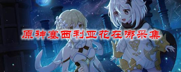 原神塞西利亚花在哪采集