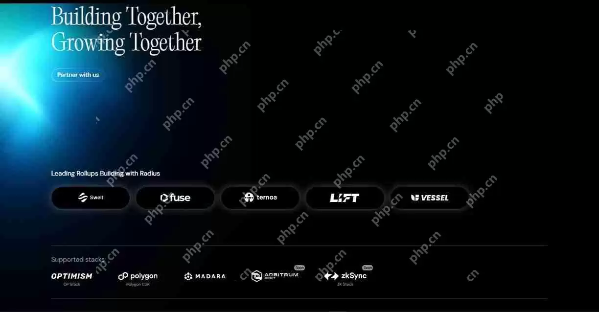 Radius是什么？Radius如何运行、背景、特点、路线图解读