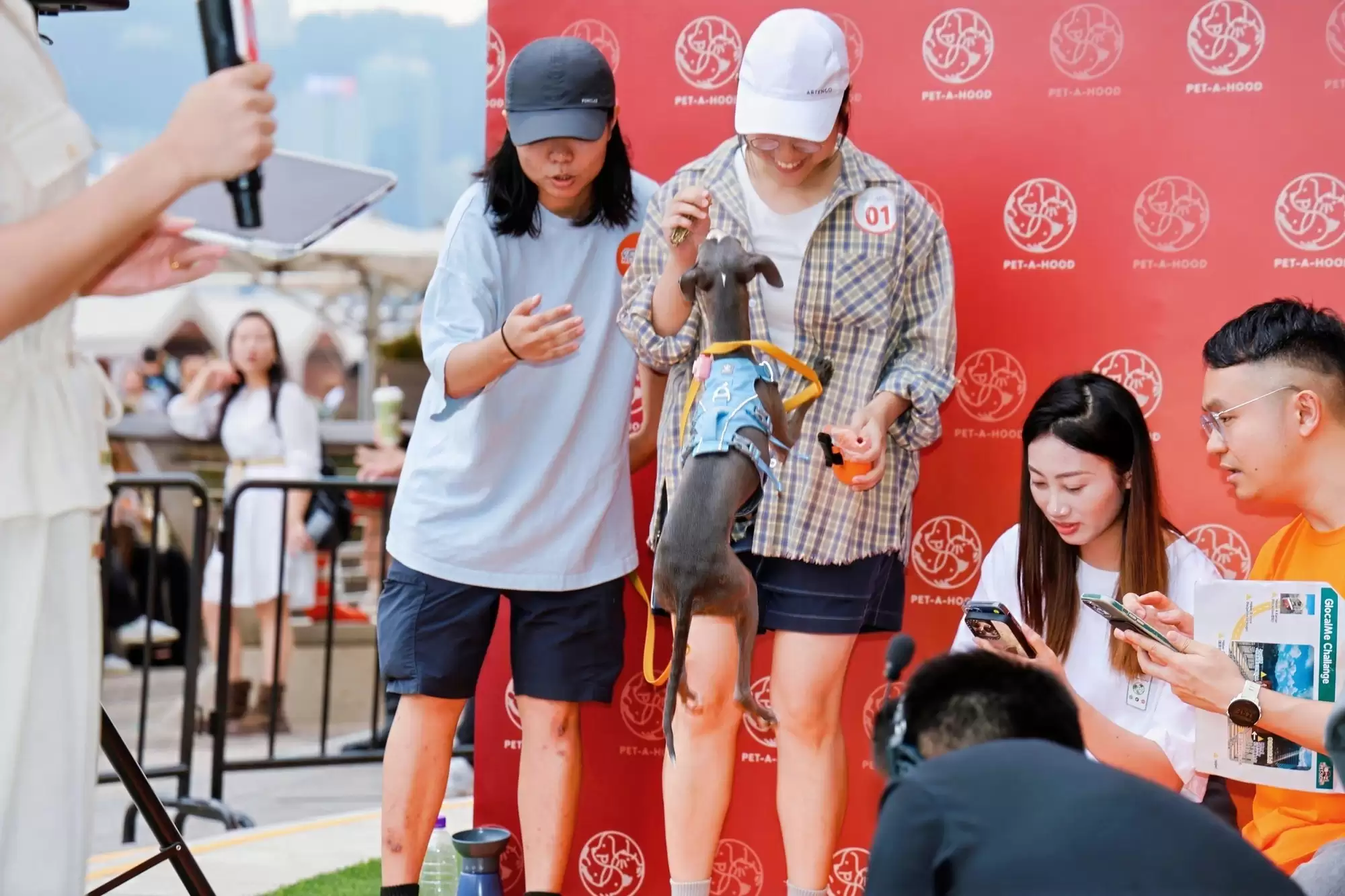 PetPhone狗狗打电话大赛引爆香港，科技助力消除“跨物种数字鸿沟”