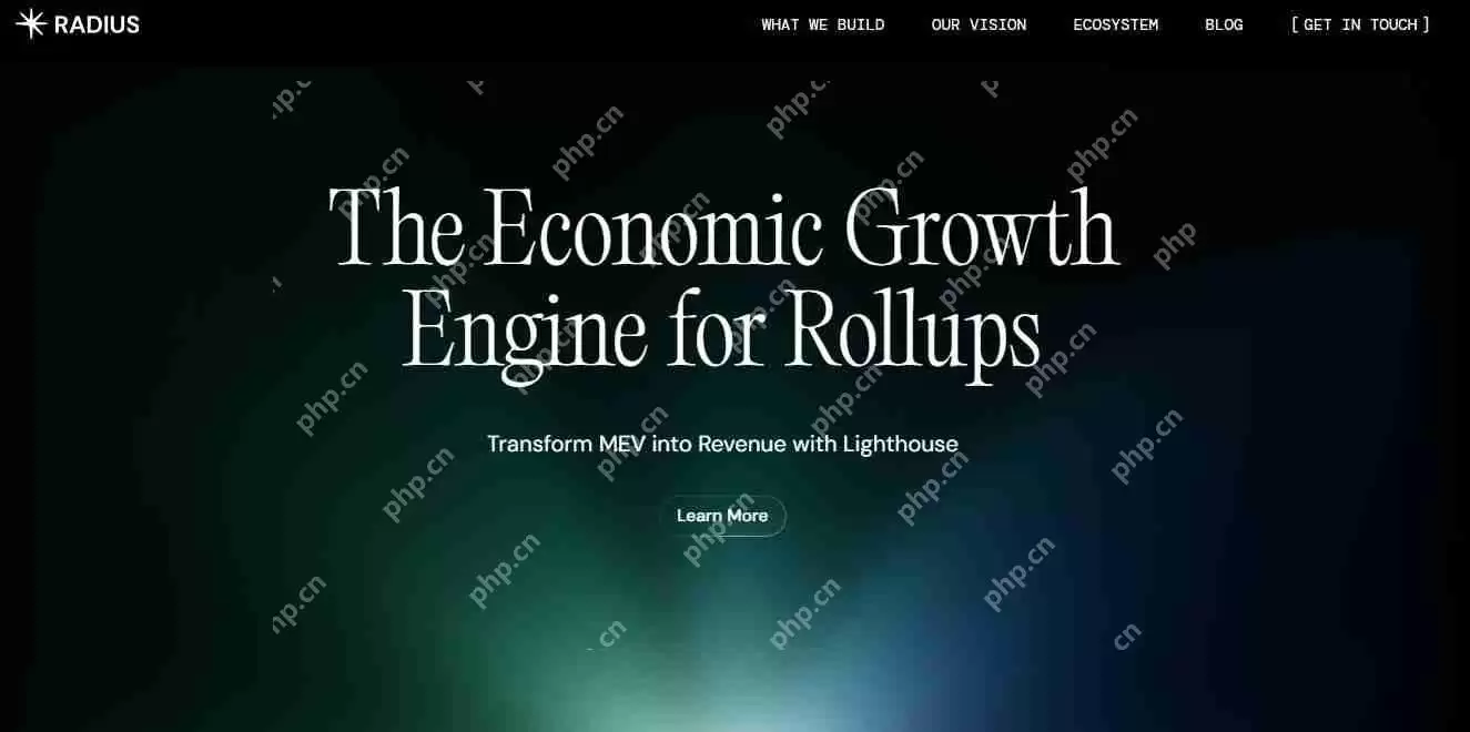 Radius是什么？Radius如何运行、背景、特点、路线图解读