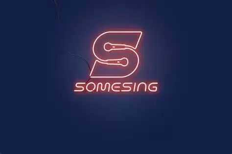 SOMESING(SSX)是什么币-第1张图片-本站