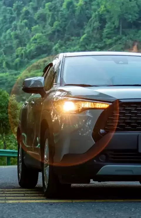 团雾突袭高速公路，科学应对保安全