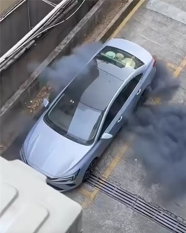 网友拍下飞凡ER6自燃全过程：从冒烟到爆燃仅30多秒
