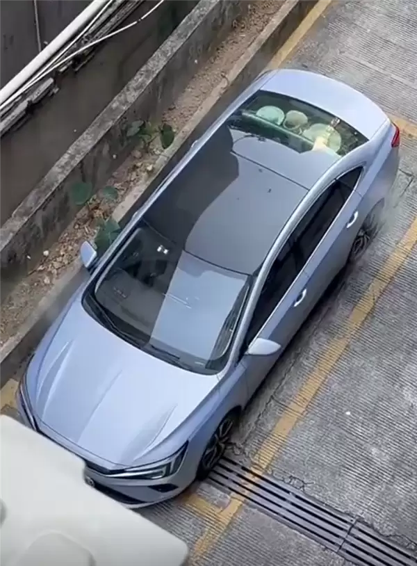 网友拍下飞凡ER6自燃全过程：从冒烟到爆燃仅30多秒